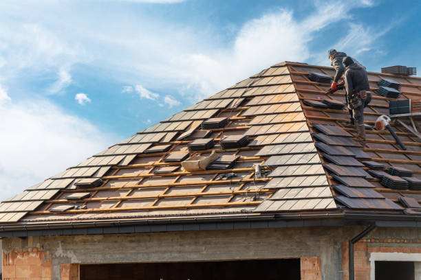 Best Roof Insulation Installation  in Wynne, AR